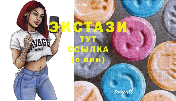 индика Арсеньев