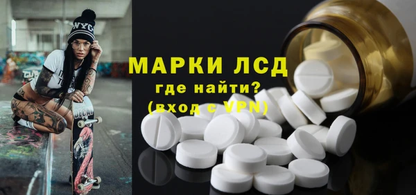 индика Арсеньев