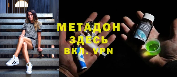 индика Арсеньев