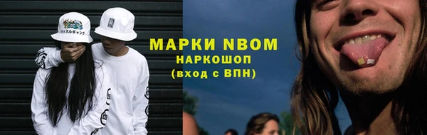 индика Арсеньев