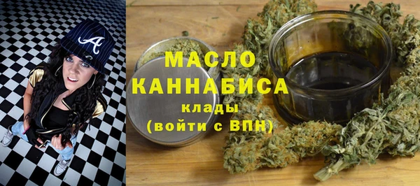 индика Арсеньев