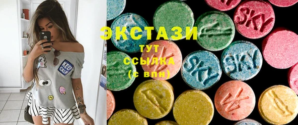 индика Арсеньев