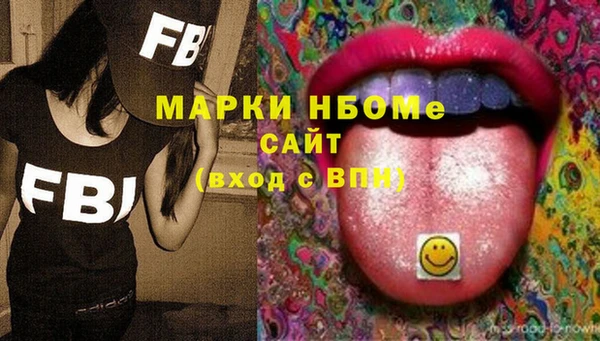индика Арсеньев