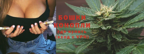 ГАЛЛЮЦИНОГЕННЫЕ ГРИБЫ Баксан