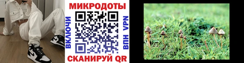 Псилоцибиновые грибы Psilocybine cubensis  Купить закладки  Ступино 