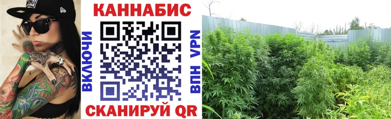 Канабис LSD WEED  Купить закладки  Ступино 